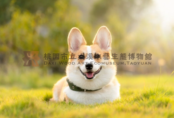 周倉將軍頭盔0721主題的圖片縮圖第3張