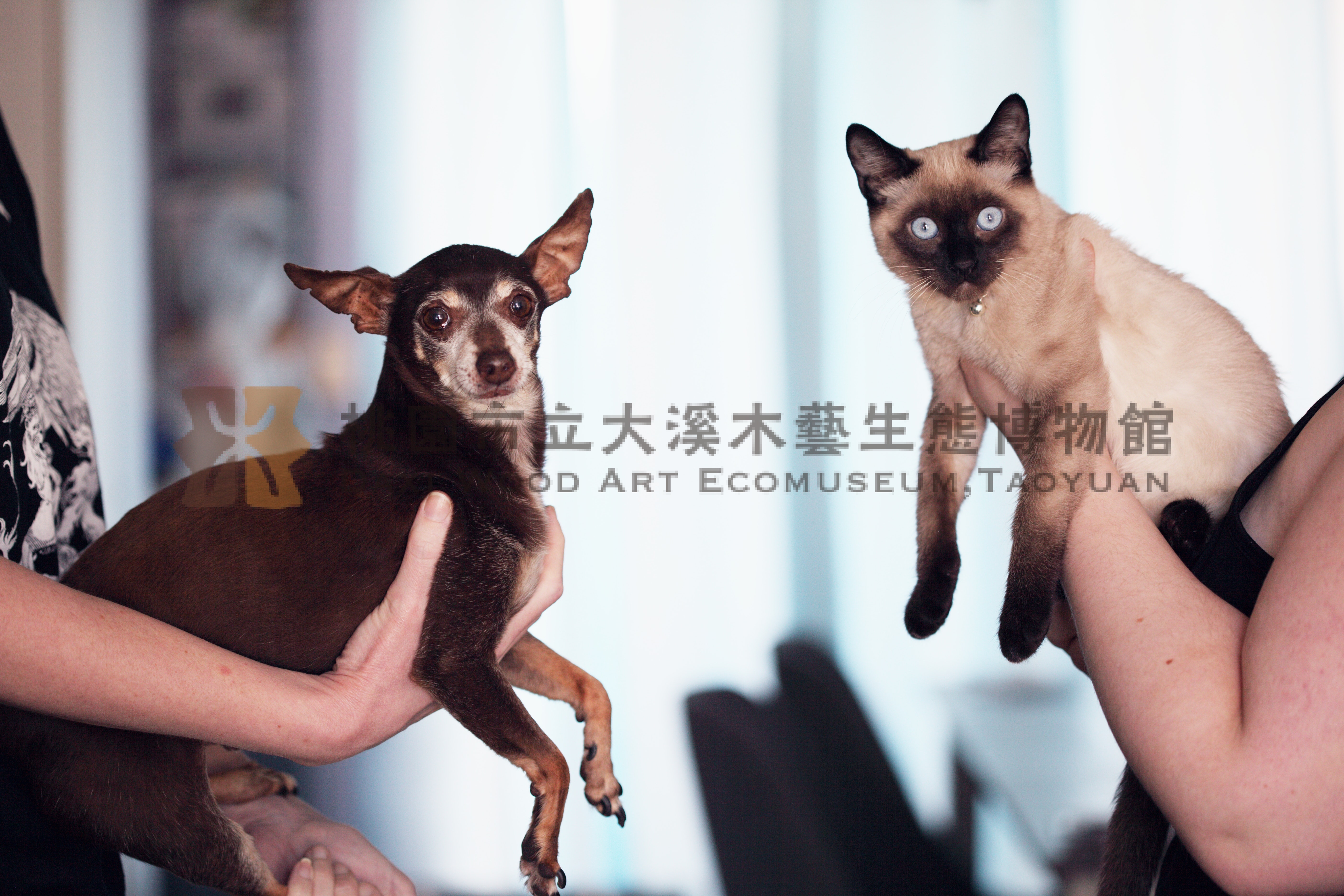 phpunit_name_1主題的圖片縮圖第6張