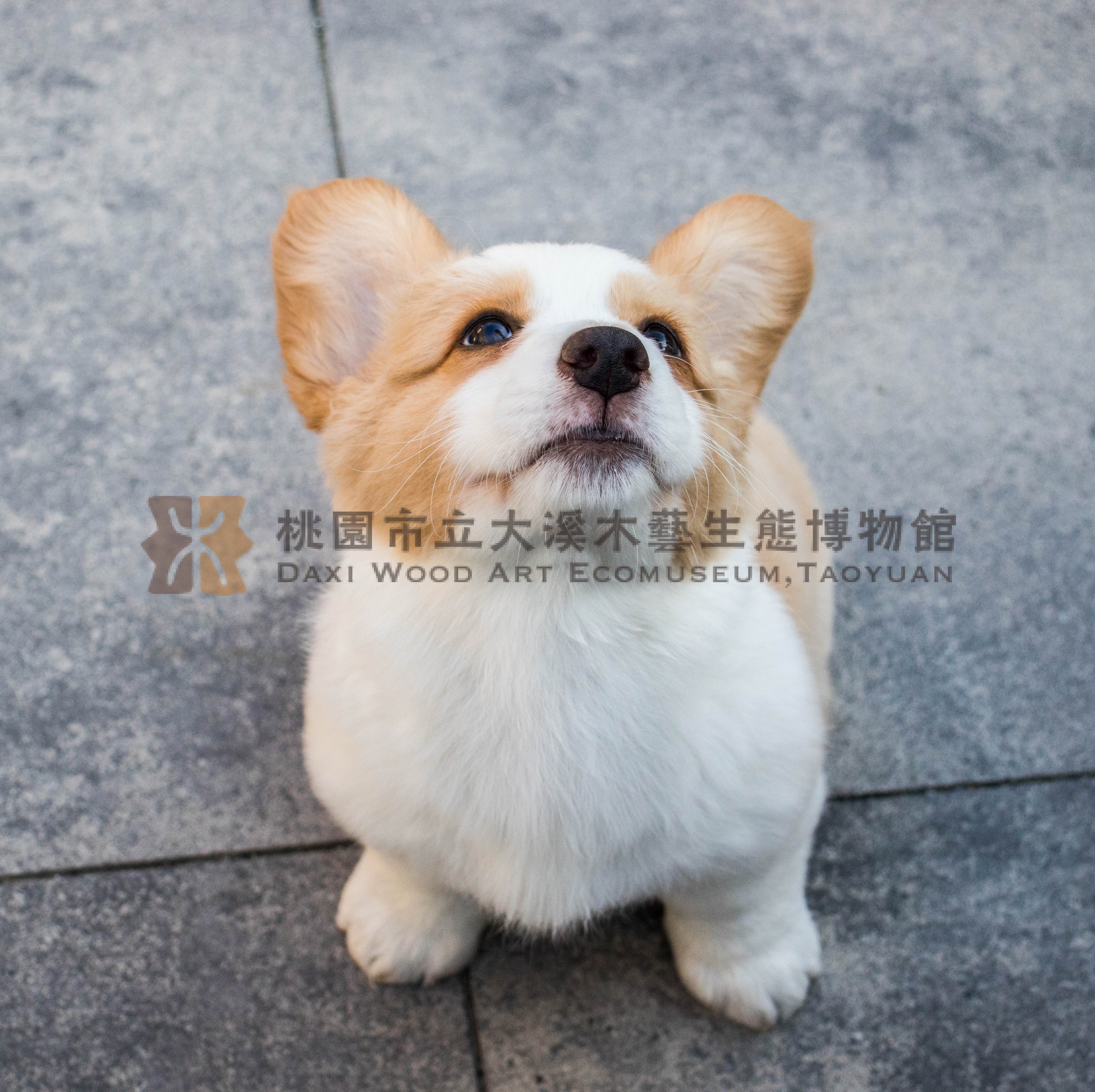phpunit_name_1主題的圖片縮圖第7張