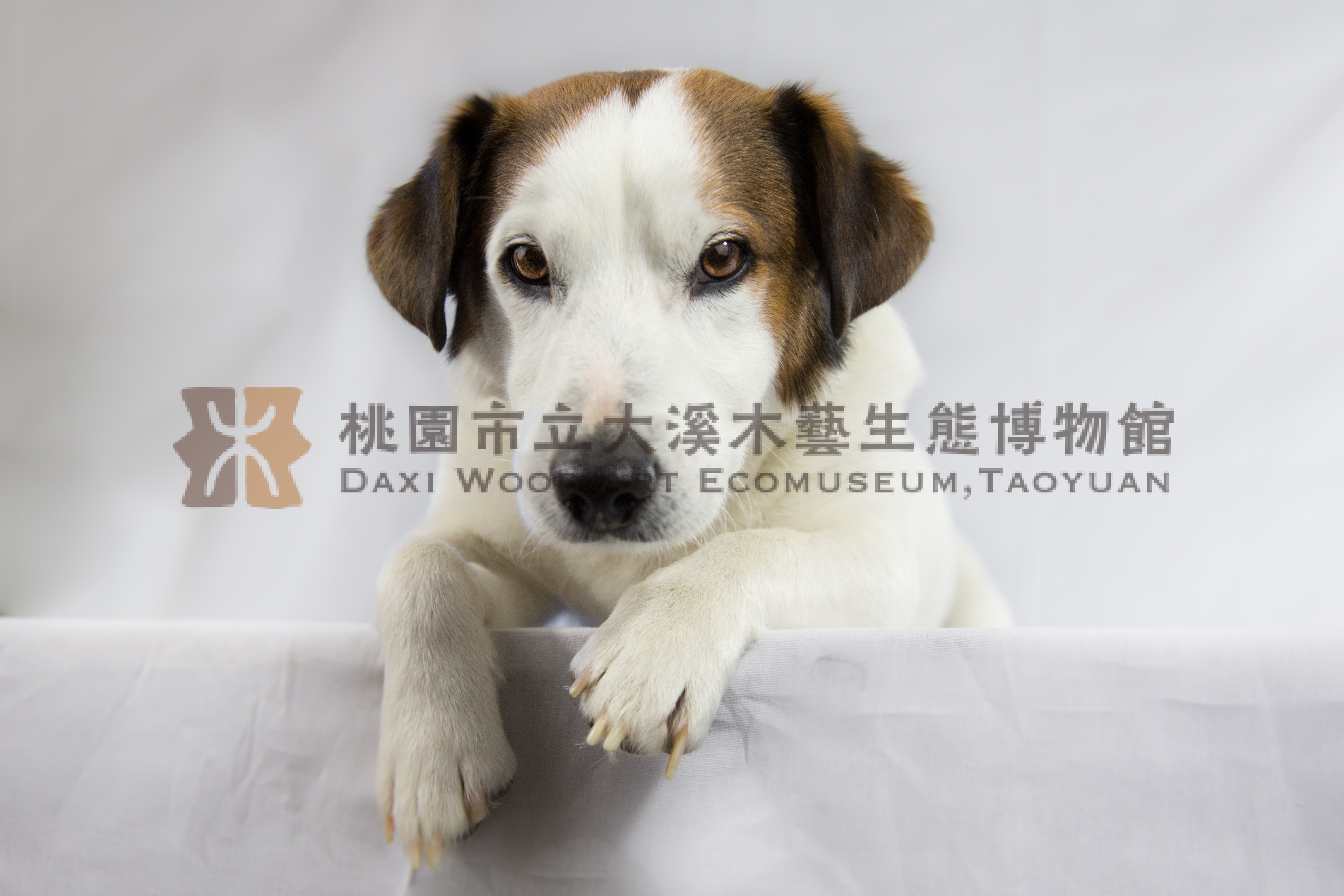 phpunit_name_1主題的圖片縮圖第8張