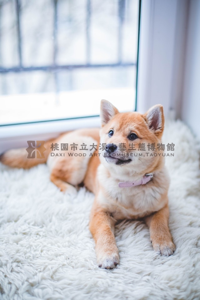 phpunit_name_1主題的圖片縮圖第9張